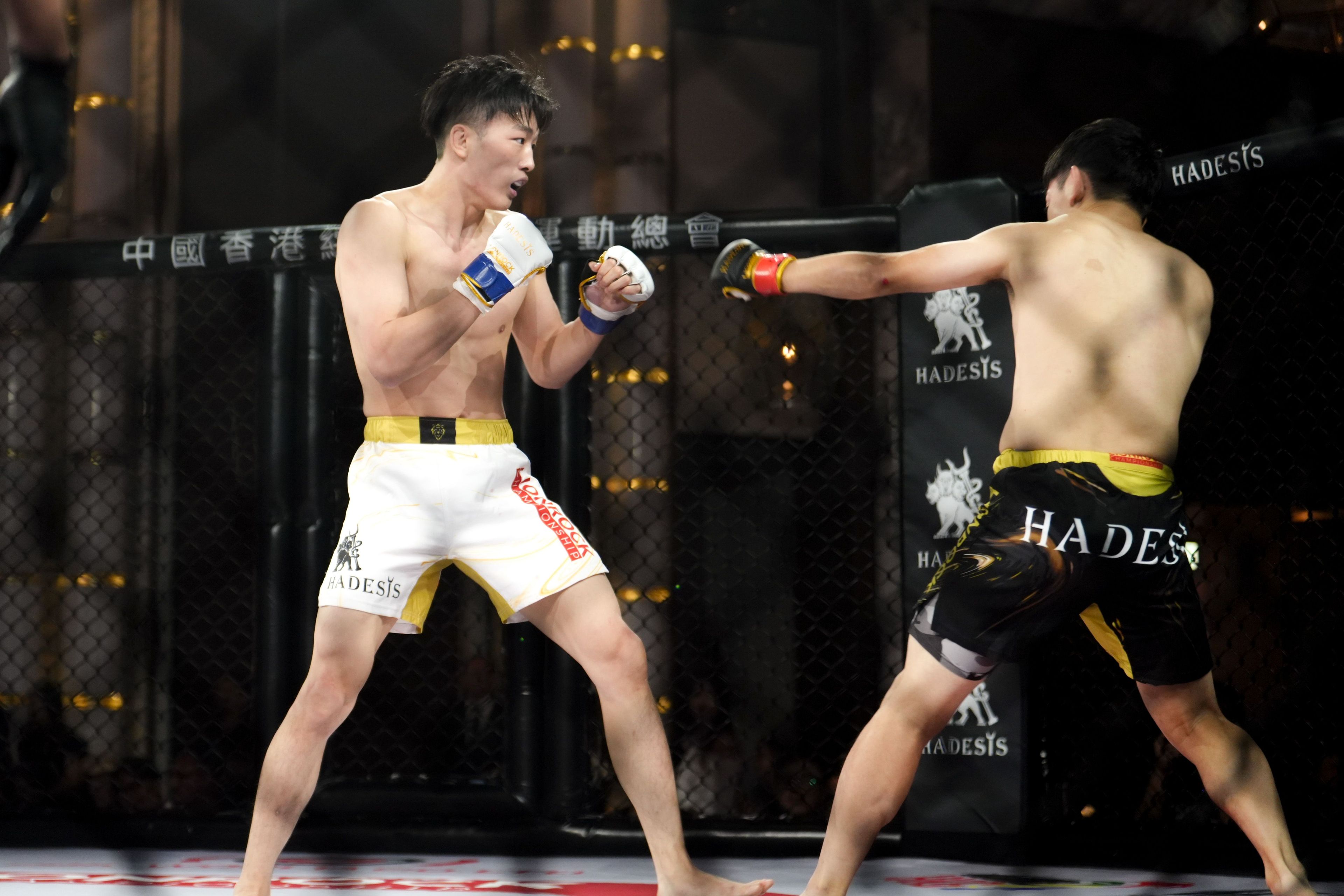 MMA綜合格鬥盛會