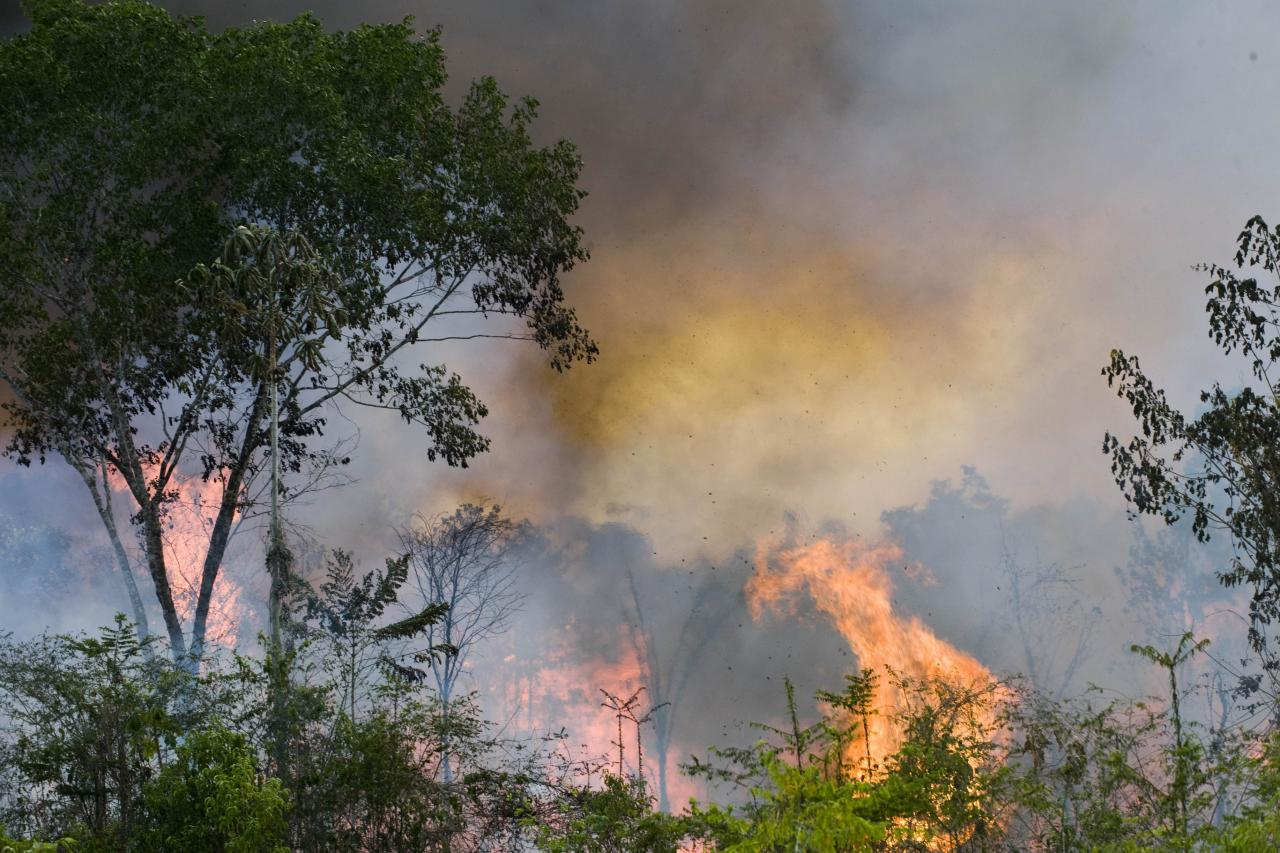 巴西亞馬遜雨林山火持續 政府民間互相指摘 | Now 新聞